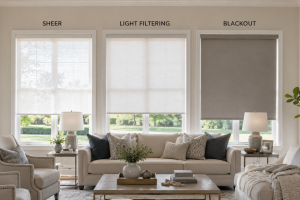 which shade of window treatments to choose